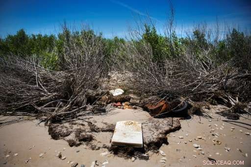 Tangier Island Faces Submersion Threat as Coastal Erosion Accelerates
