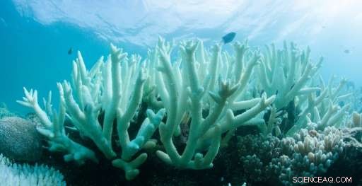 UN Launches Inaugural Summit to Address Global Ocean Challenges