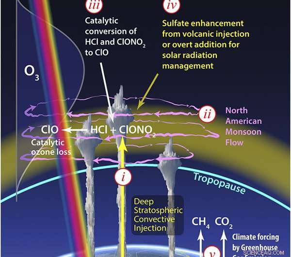 Harvard Study Reveals Heightened Ozone Depletion Risk Over the US During Summer