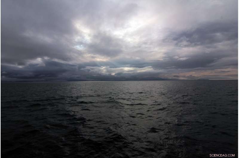 From Freshwater Lake to Saline Sea: How the Arctic Ocean Transformed