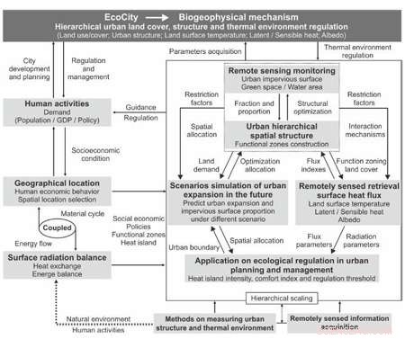 New EcoCity Model Promises to Reduce Urban Heat Islands
