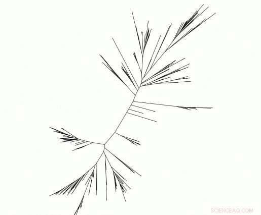 Genomic Insights into Earth s Early Oxygenation