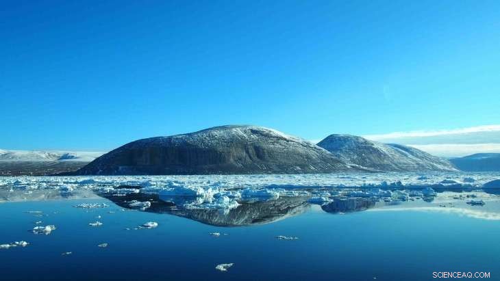 Deep-Sea Bottom Feeders Demonstrate Climate-Resilient Adaptation, Aberdeen Study Reveals