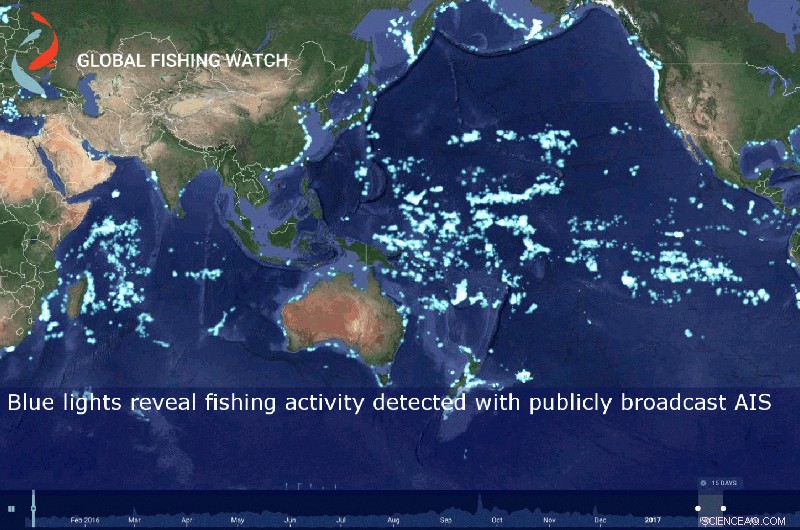 Indonesia Boosts Transparency: Full Visibility of Its Fishing Fleet via Global Fishing Watch