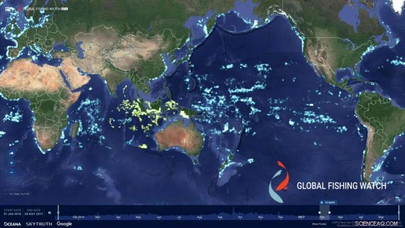 Indonesia Boosts Transparency: Full Visibility of Its Fishing Fleet via Global Fishing Watch