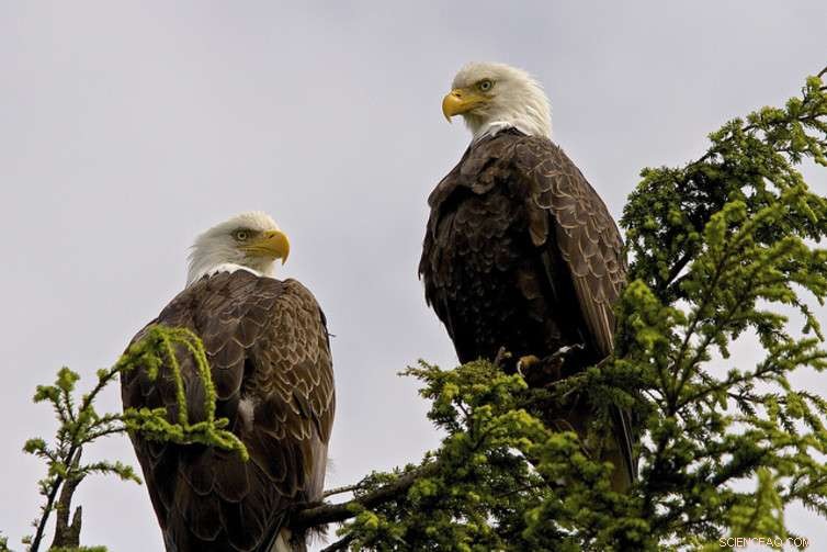 Why Climate Change Remains a Tough Sell in the U.S.