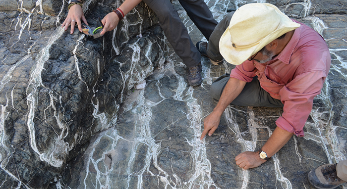 Harnessing Nature & Technology to Combat Climate Change