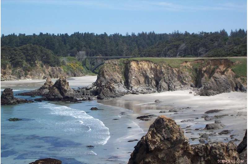 Microplastic Debris: The Silent Threat to Ocean Health