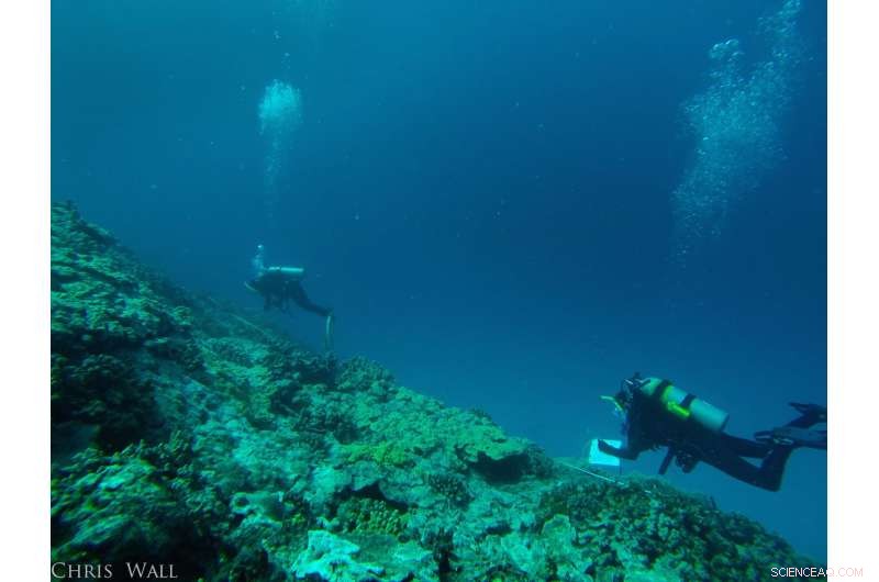 NASA Grants $1.026M to Hawai i Scientists to Forecast Coral Disease Across Pacific Ocean