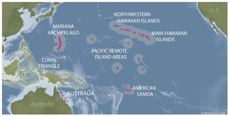 NASA Grants $1.026M to Hawai i Scientists to Forecast Coral Disease Across Pacific Ocean