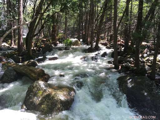 Increased Drowning Risk in Western U.S. Rivers as Snowmelt Raises Water Levels