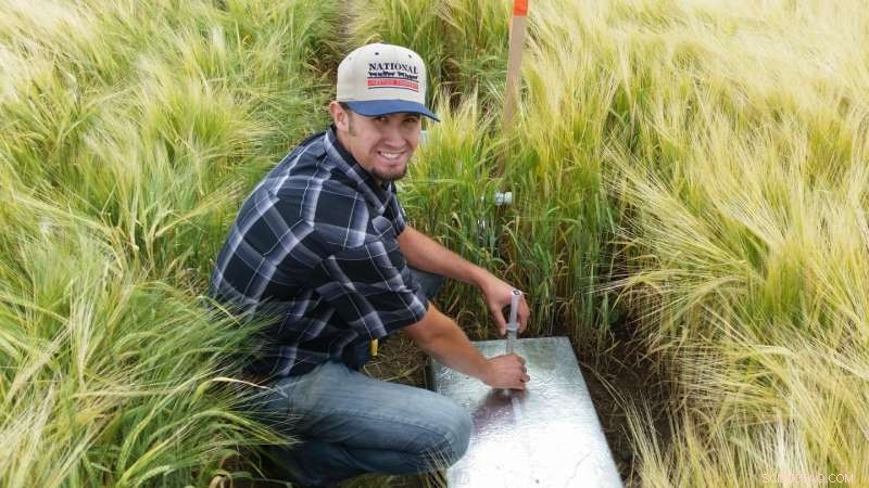 Assessing Greenhouse Gas Emissions in Irrigated Cropping Systems