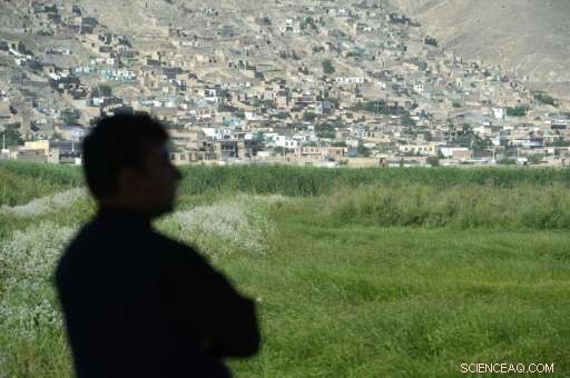 Kabul’s War-Torn Landscape Gains UN Protection as Key Migratory Bird Habitat