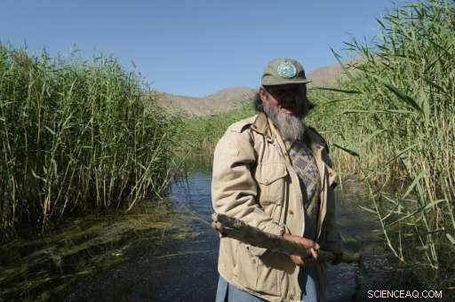 Kabul’s War-Torn Landscape Gains UN Protection as Key Migratory Bird Habitat