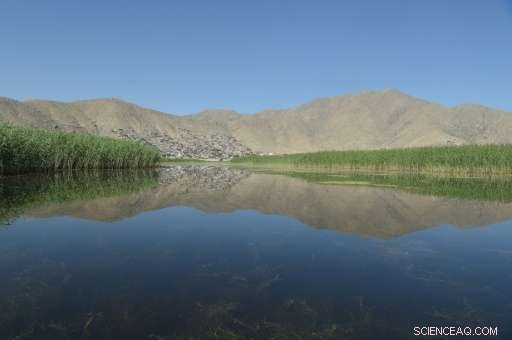 Kabul’s War-Torn Landscape Gains UN Protection as Key Migratory Bird Habitat
