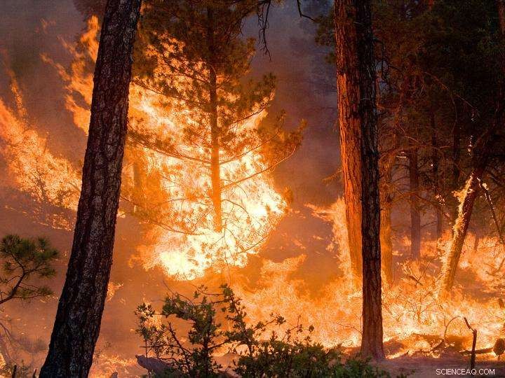 Wildfires Emit Significantly More Pollution Than Previously Estimated