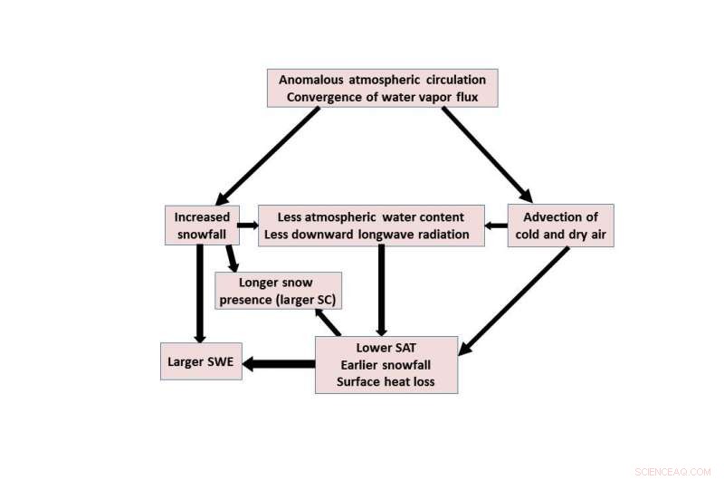 Eurasian Autumn Snow Variability: How Atmospheric Circulation Shapes Seasonal Patterns