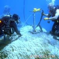 High Temperatures, Not Acidification, Threaten Coral Growth