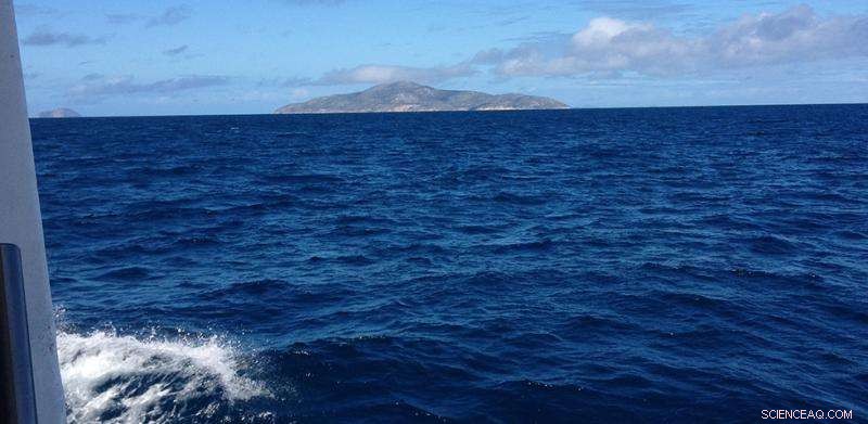 How the Great Barrier Reef Naturally Fixes Nitrogen – A Deep Dive into Marine Sustainability