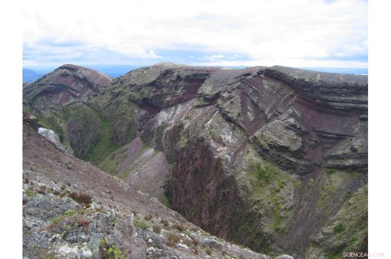 New Insights into Magma Dynamics from Volcanic Zircon Crystals