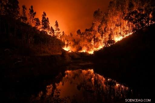 Portugal s Central Forest Fires Claim 62 Lives, Devastating Impact