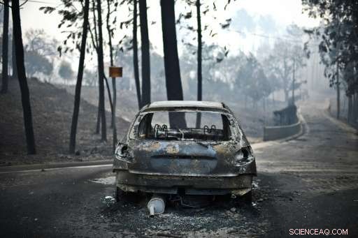 Portugal s Central Forest Fires Claim 62 Lives, Devastating Impact