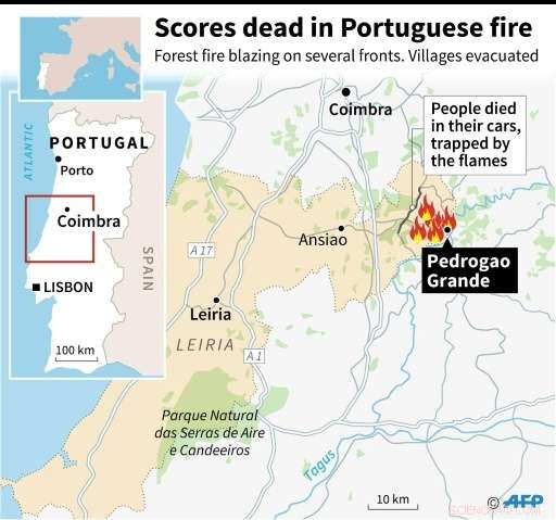 Portugal s Central Forest Fires Claim 62 Lives, Devastating Impact