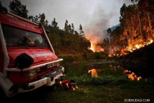 Portugal s Central Forest Fires Claim 62 Lives, Devastating Impact