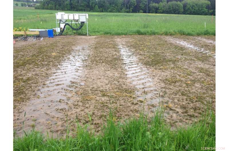 Assessing Soil Structural Changes Post-Compaction: Insights & Monitoring