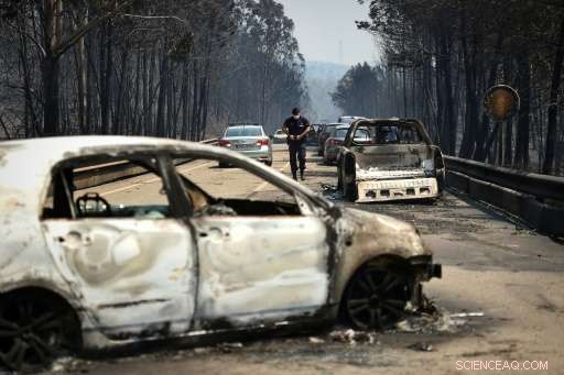 Portugal Faces Rising Threat of Deadly Fires, Experts Warn
