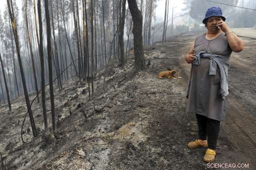 Portugal s Ongoing Battle Against Forest Fires