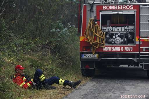 Portugal s Ongoing Battle Against Forest Fires