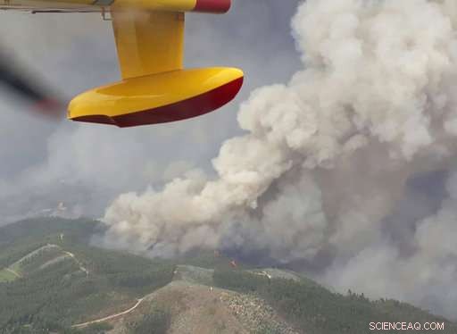 Portugal s Ongoing Battle Against Forest Fires