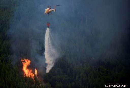 Portugal Faces Scrutiny Over Firefighting Response Amid Forest Blaze
