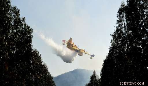Portugal Faces Scrutiny Over Firefighting Response Amid Forest Blaze