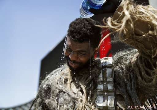 Phoenix Faces 119°F on Summer’s First Day, Prompting an Excessive Heat Warning