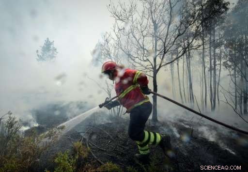 Investigating the Tragic  Road of Death  After Portugal Forest Fires
