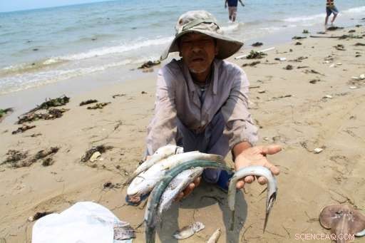 Vietnam s Environmental Agency Fires Official Over Massive Fish Kill