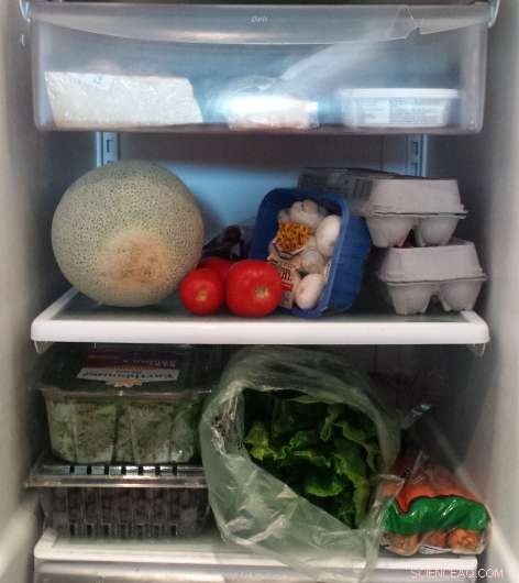 Discover the Hidden Source of Household Food Waste in Your Pantry and Fridge