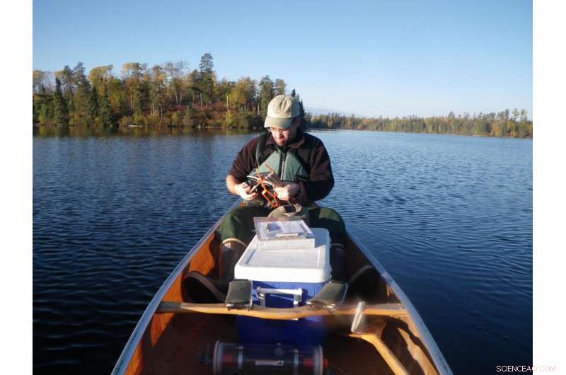 Assessing Fish Mercury Levels Following Controlled Burns in the Boundary Waters