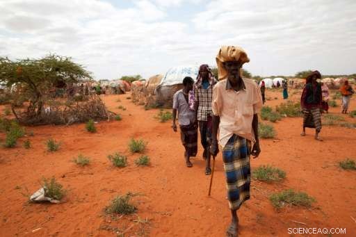 Ethiopia Faces Rising Food Crisis as Drought Devastates Communities