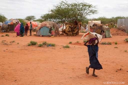 Ethiopia Faces Rising Food Crisis as Drought Devastates Communities