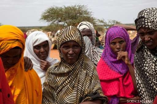 Ethiopia Faces Rising Food Crisis as Drought Devastates Communities