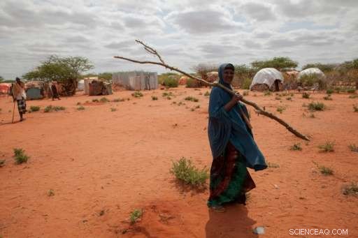 Ethiopia Faces Rising Food Crisis as Drought Devastates Communities
