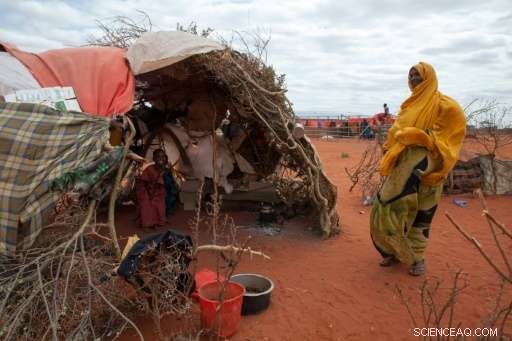 Ethiopia Faces Rising Food Crisis as Drought Devastates Communities