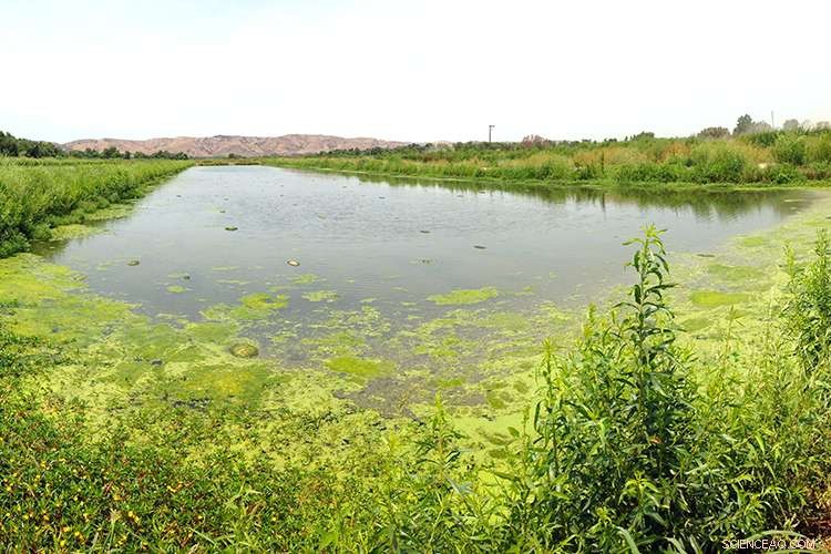 California Drought: Health Risks and Environmental Challenges