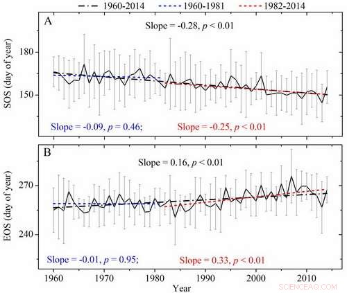 Decoding Tibetan Plateau Plant Phenology with Tree‑Ring Insights