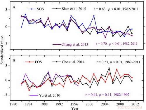 Decoding Tibetan Plateau Plant Phenology with Tree‑Ring Insights