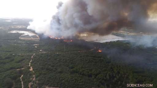 Spanish Forest Fire Threatens Donana National Park, Evacuating 1,000 Residents