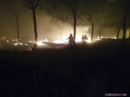 Spanish Forest Fire Threatens Donana National Park, Evacuating 1,000 Residents